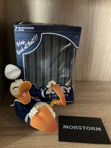 Donald Duck Morstorm Disney Beeld