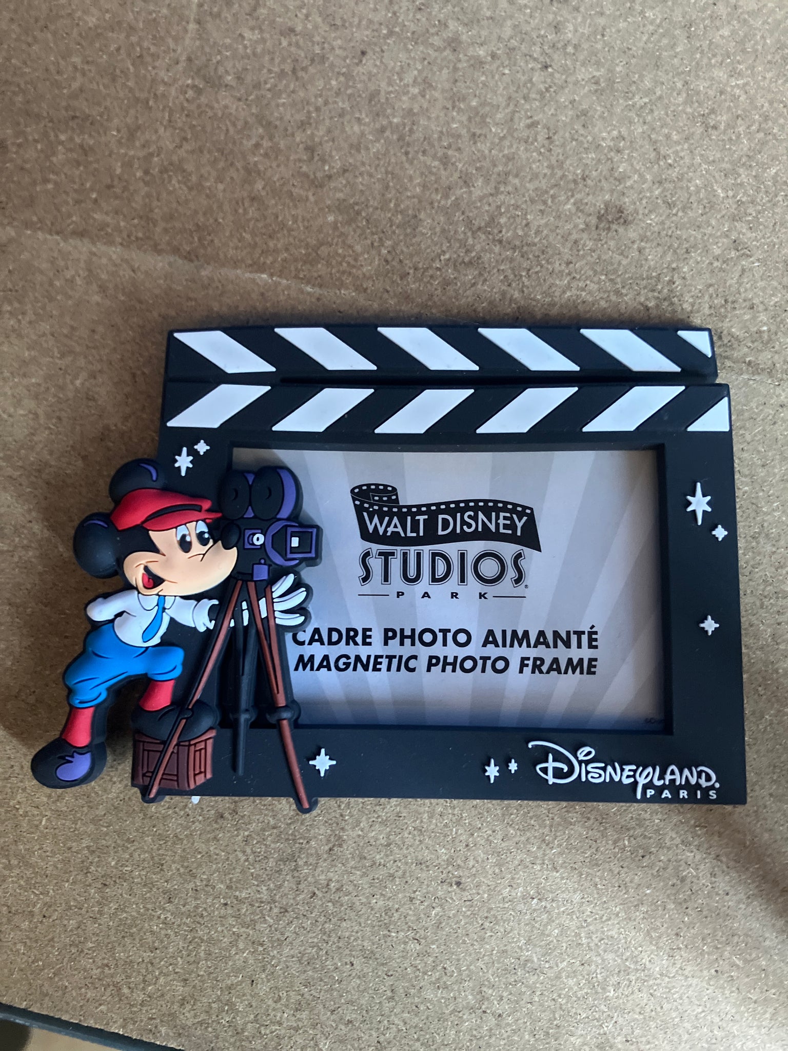 Walt Disney Studios Magneet