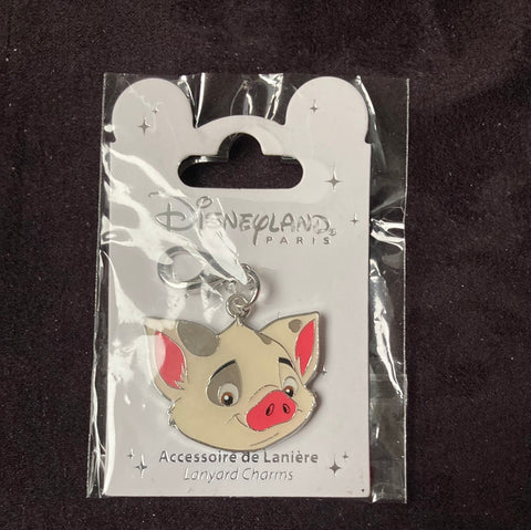 Pua Charm Disney Pin